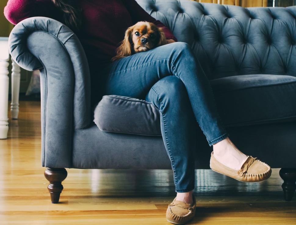 Free Image of Woman Sitting on Couch With Dog on Lap 