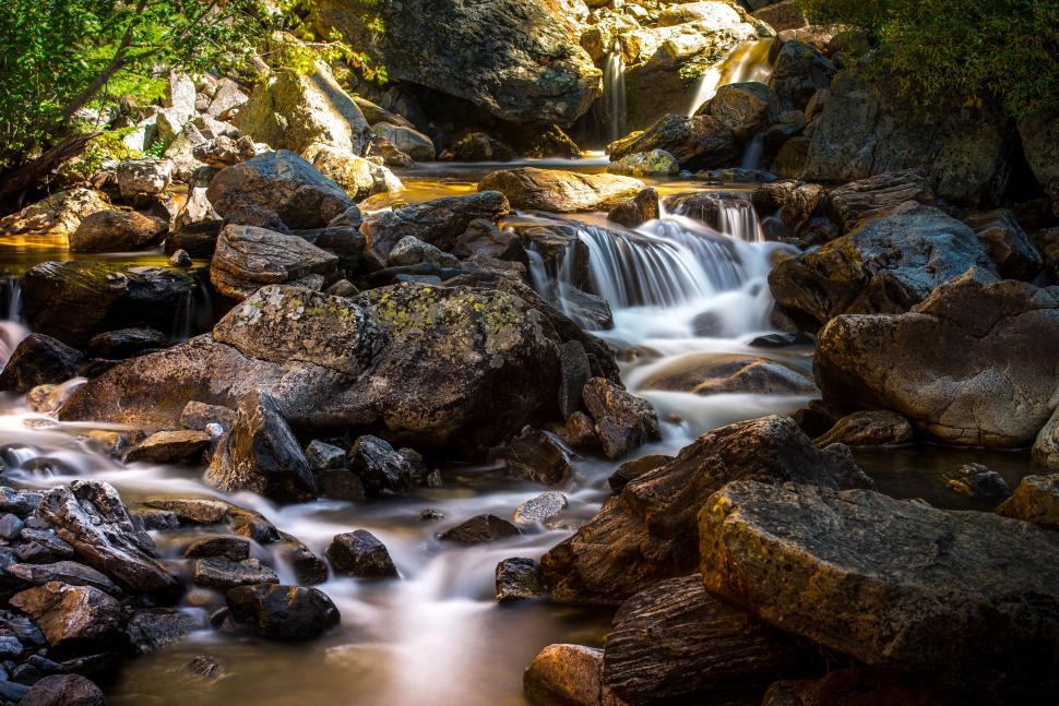 Free Image of A Stream of Water Flowing Through a Lush Green Forest 