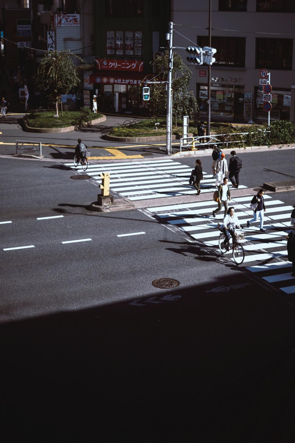 Free Image of Group of People Riding Bikes Across Street 