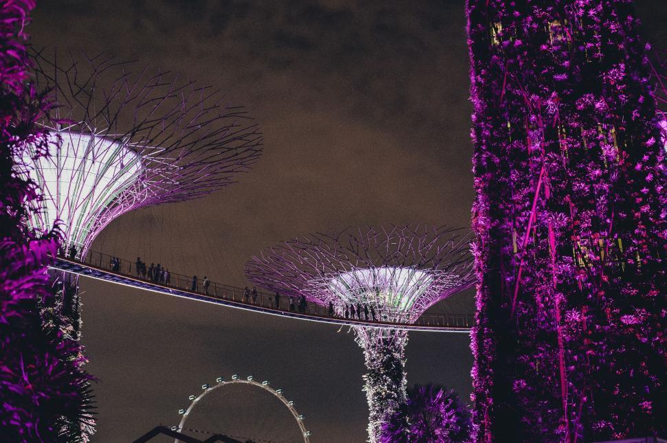 Free Image of Night Scene of the Gardens by the Bay 