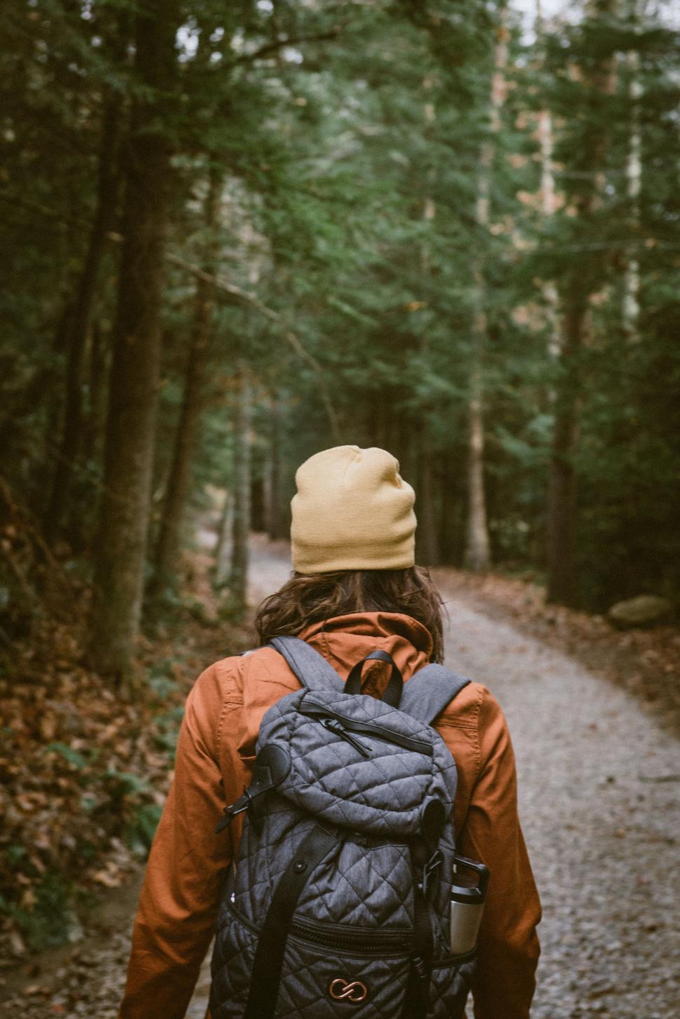 Free Image of Person Walking Down a Path in the Woods 