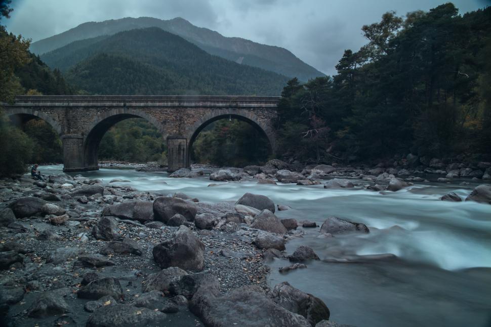 Free Image of River Flowing Under Bridge in Forest 