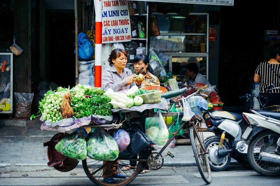 Free Image of Woman Sitting on Bike With Cart Full of Vegetables 