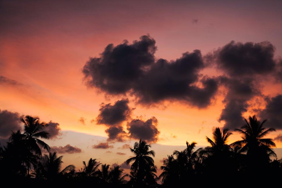Free Image of Sunset With Clouds and Palm Trees 