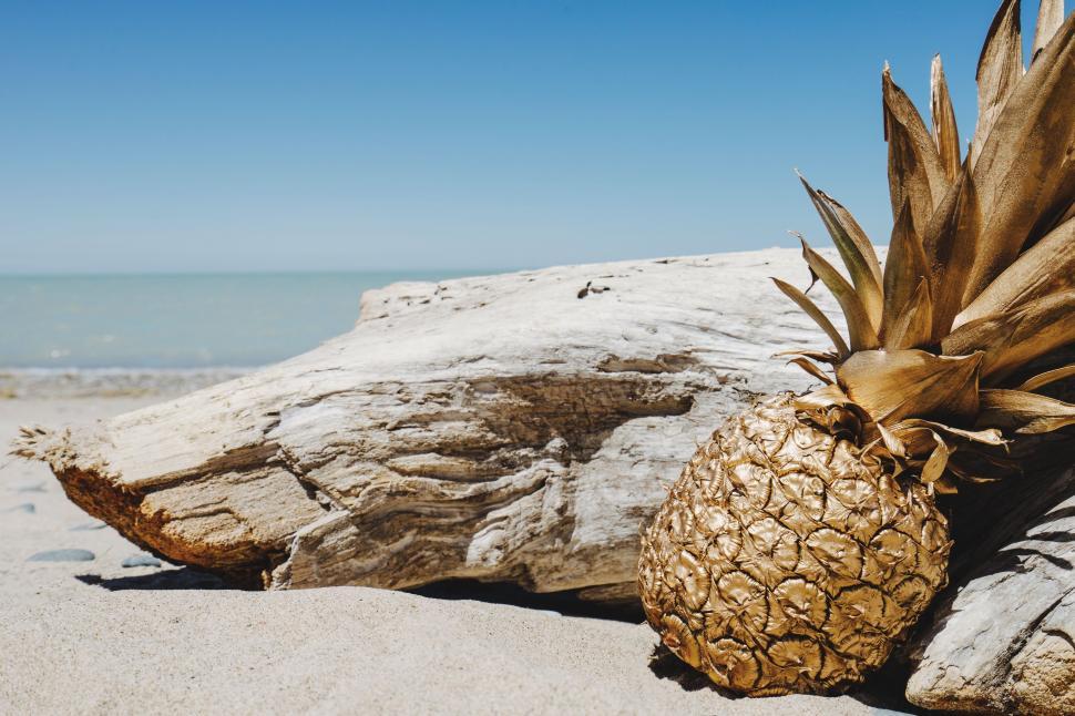 Free Image of Pineapple Resting on Rock on Beach 