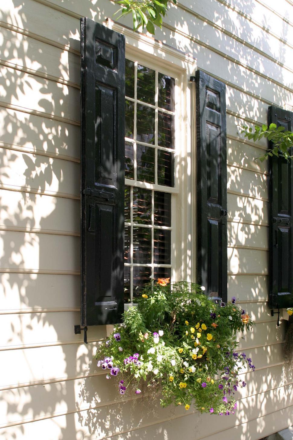 Free Image of windows and shutters 