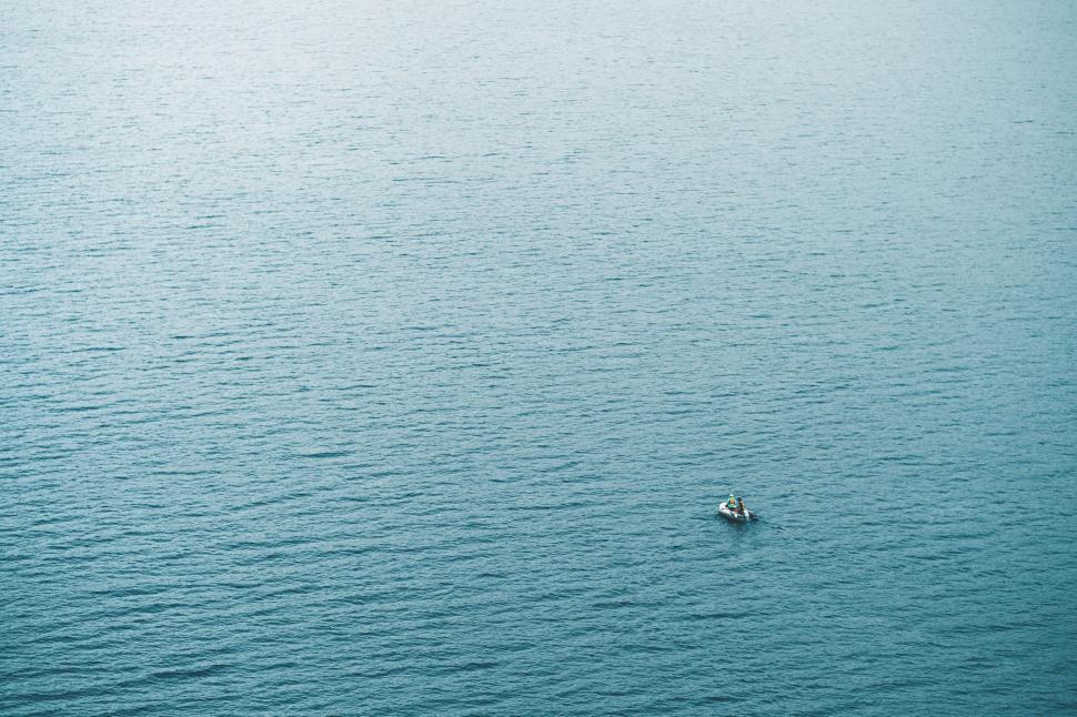 Free Image of Lone Bird Floating in Middle of Water 
