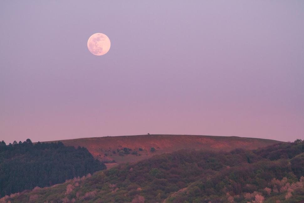 Free Image of Full Moon Rising Over Hill With Trees 