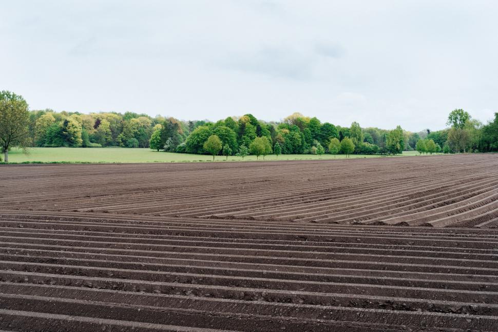 Free Image of Plowed Field With Trees in Background 