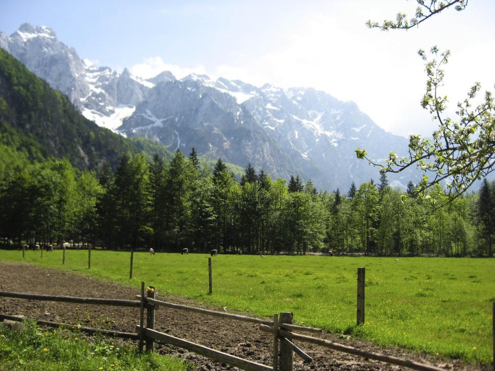 Free Image of Alpine countryside and green field 