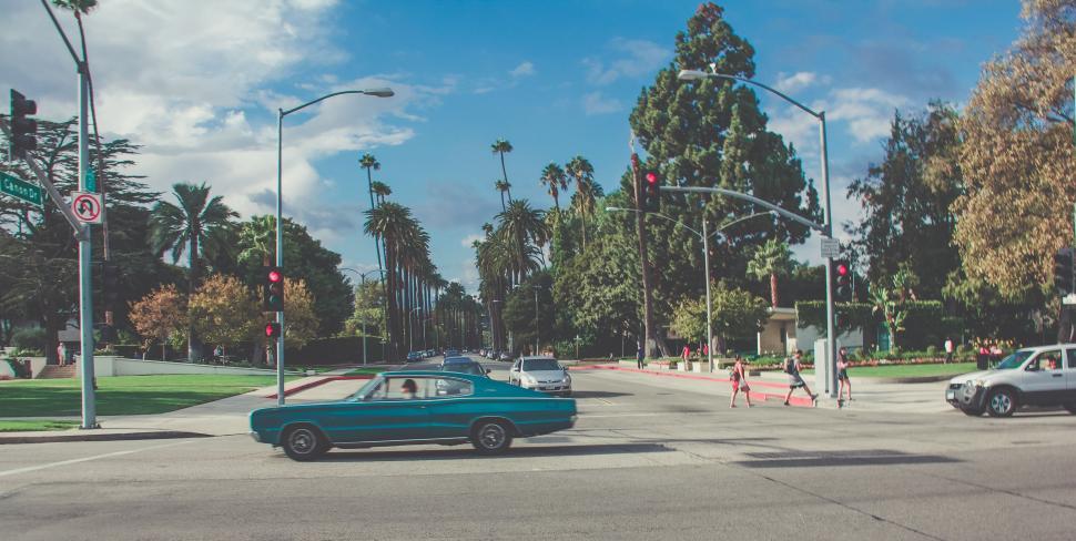 Free Image of Blue Car Driving Down a Street Next to Tall Palm Trees 