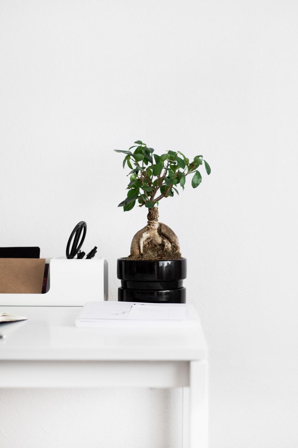 Free Image of White Desk With Potted Plant 