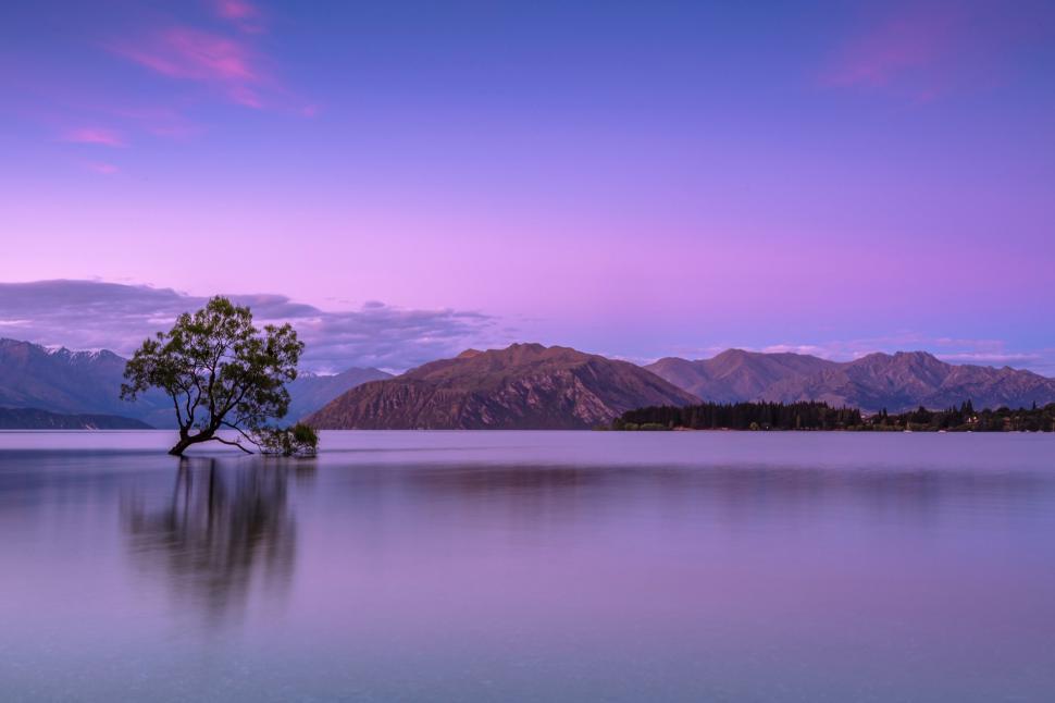 Free Image of Lone Tree in the Middle of a Lake 