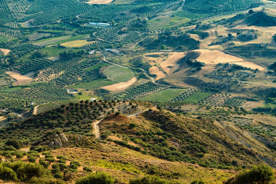 Free Image of Aerial View of Hilly Area With Trees and Rolling Hills 
