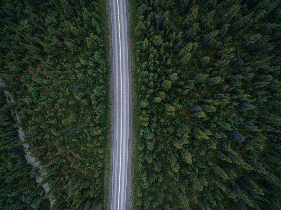Free Image of Aerial View of Road Cutting Through Forest 