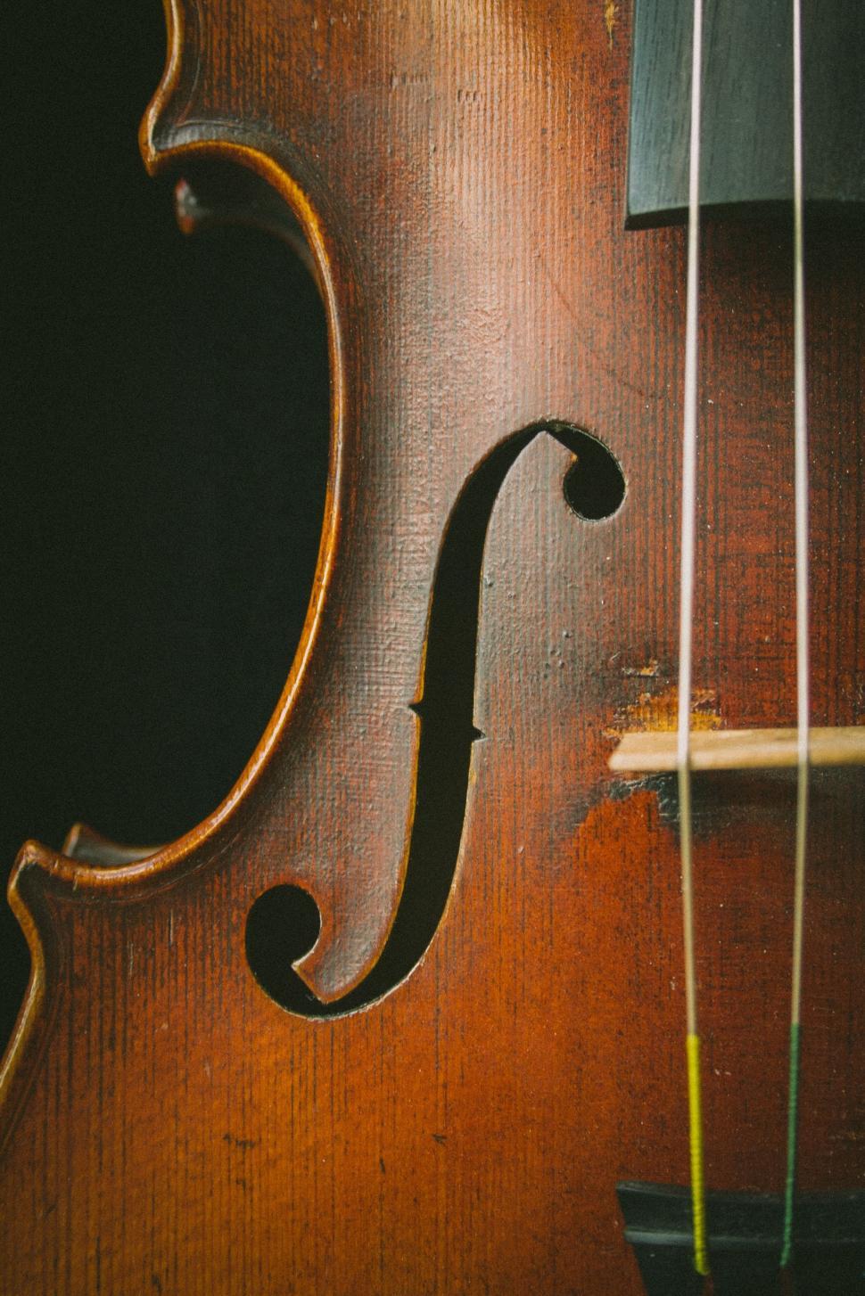 Free Image of Close Up of a Violin With Strings 