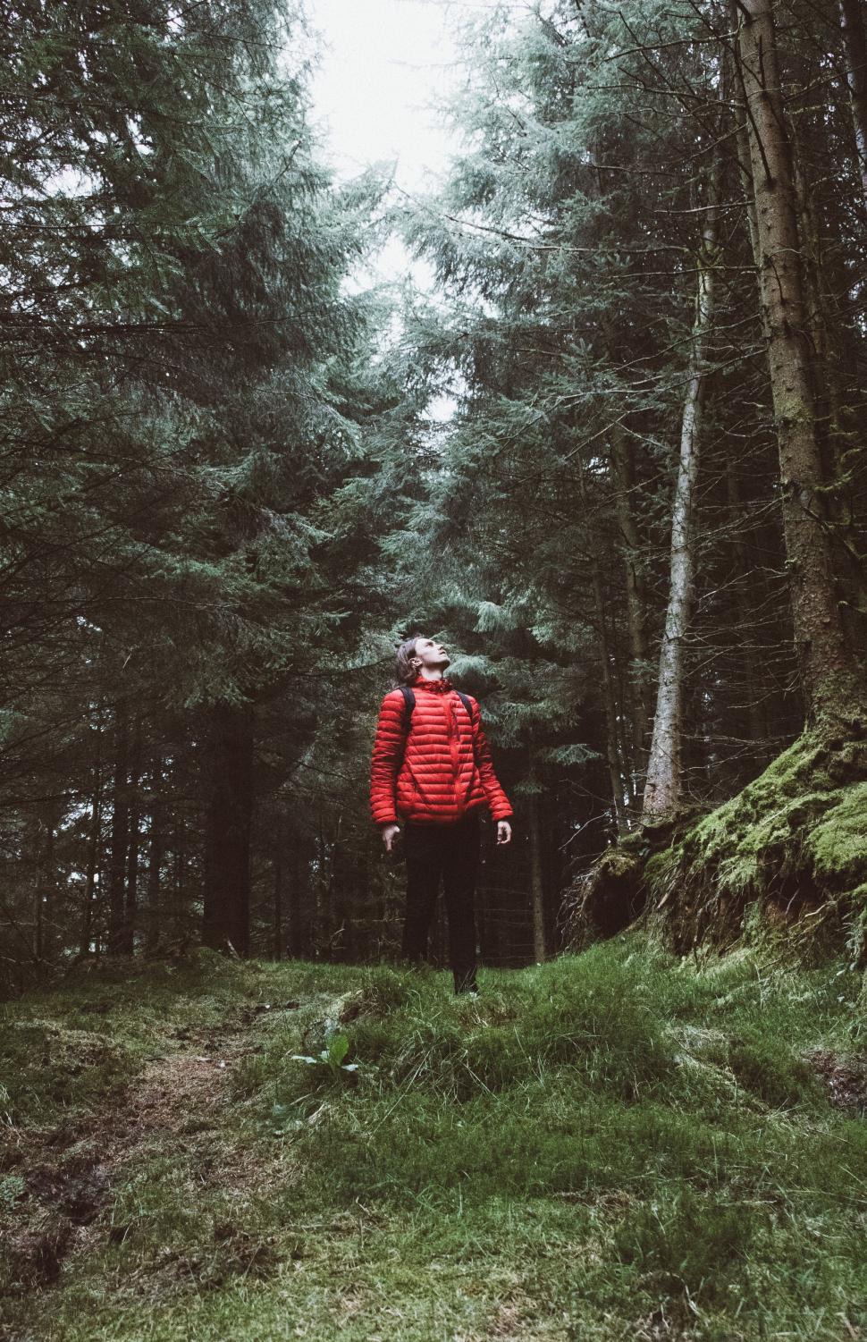 Free Image of Person Standing in the Center of a Forest 