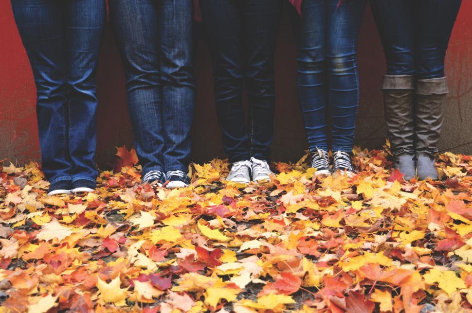 Free Image of Group of People Standing on Top of Pile of Leaves 