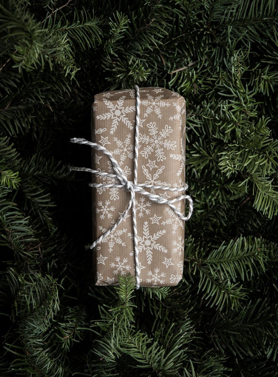 Free Image of Wrapped Present Sitting on Top of a Christmas Tree 