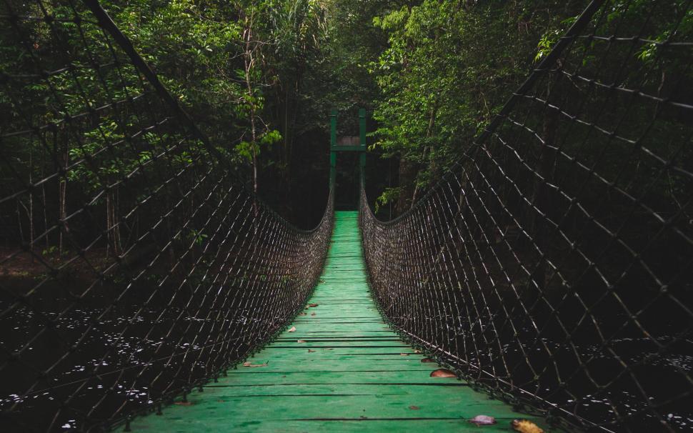 Free Image of Long Suspension Bridge in Forest 