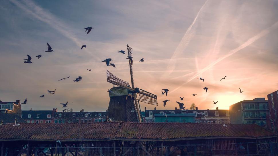 Free Image of Birds Flying Around Windmill 