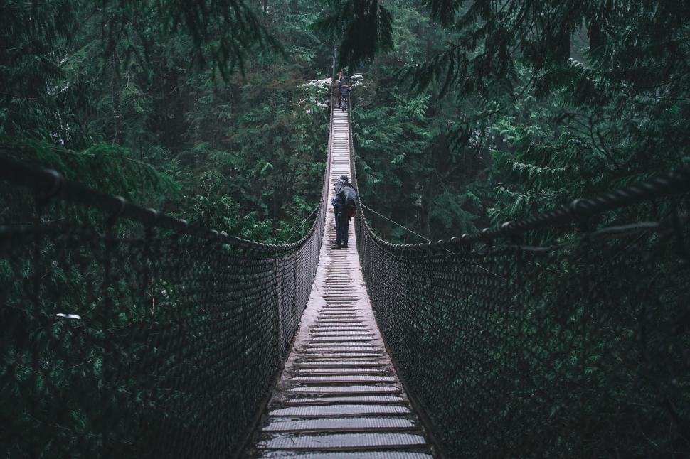 Free Image of Person Walking Across Suspension Bridge in Forest 