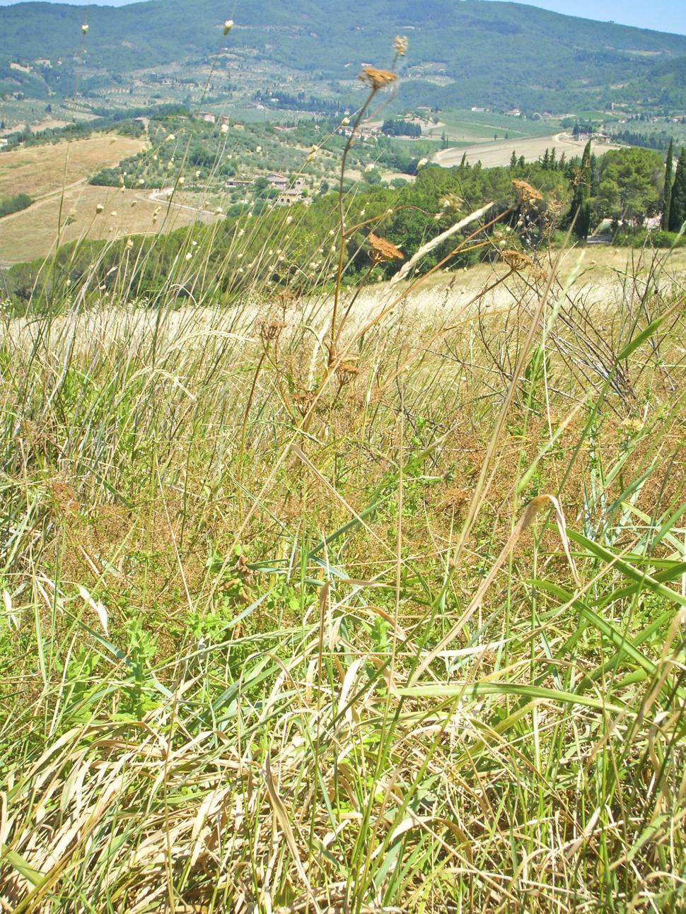 Free Image of Tuscany 