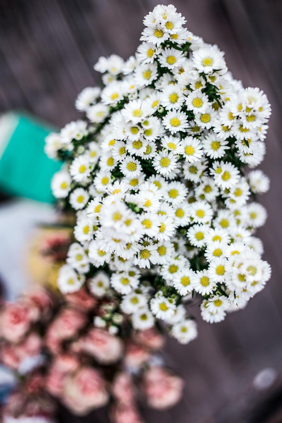 Free Image of A Bunch of Daisies in a Vase on a Table 