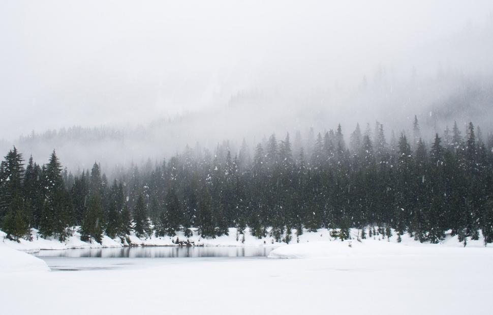 Free Image of Snow Covered Lake Surrounded by Pine Trees 