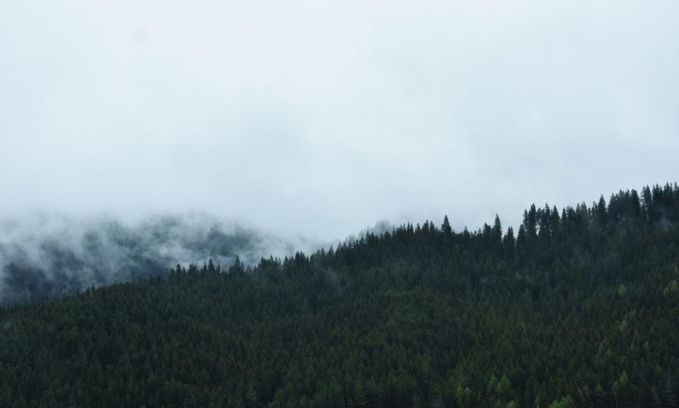 Free Image of Foggy Mountain With Trees 
