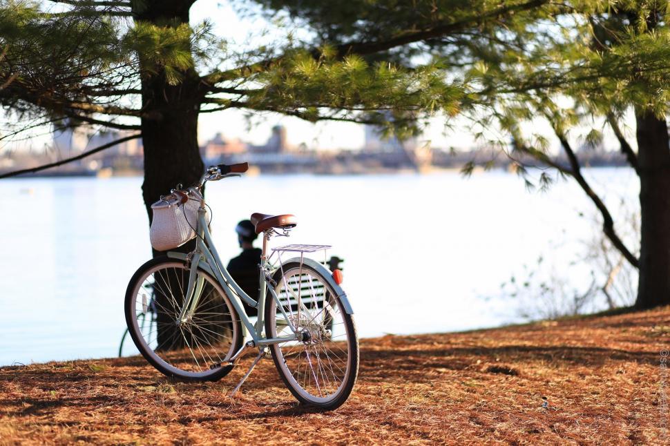 Free Image of Bike Parked Next to Tree by Water 
