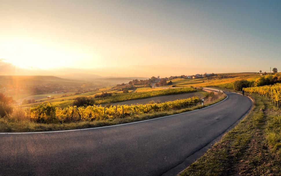 Free Image of Winding Road Cutting Through Field 