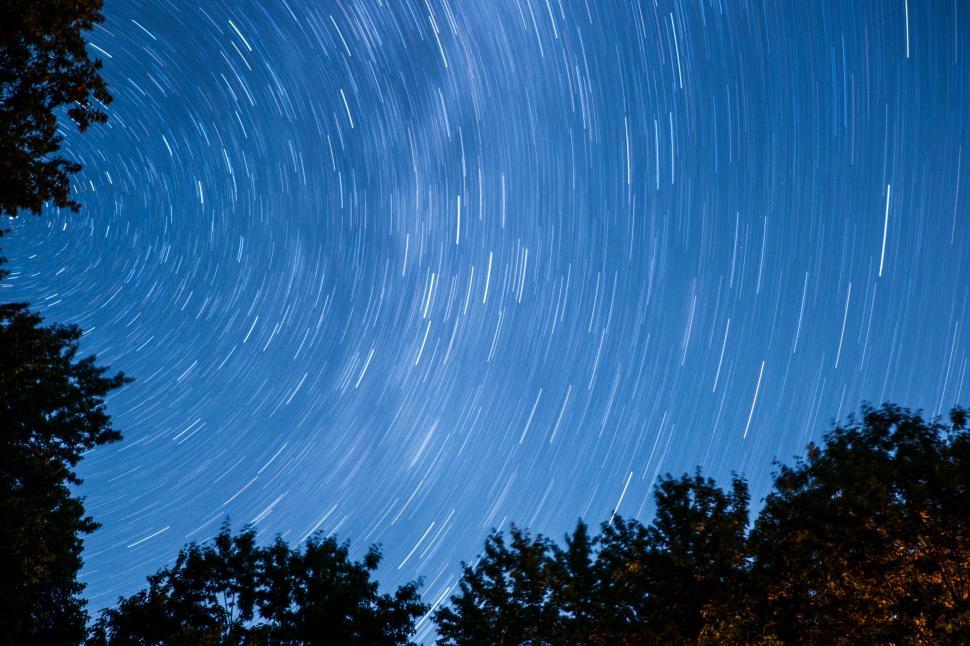 Free Image of Star Trail Above Trees 
