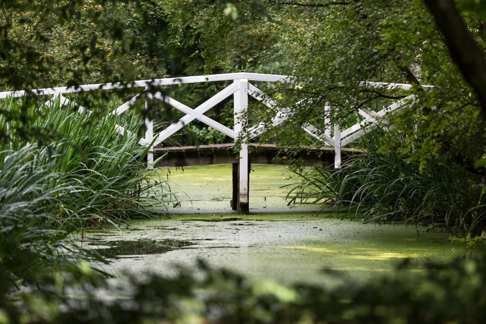 Free Image of White Bridge Crossing Swampy Pond 