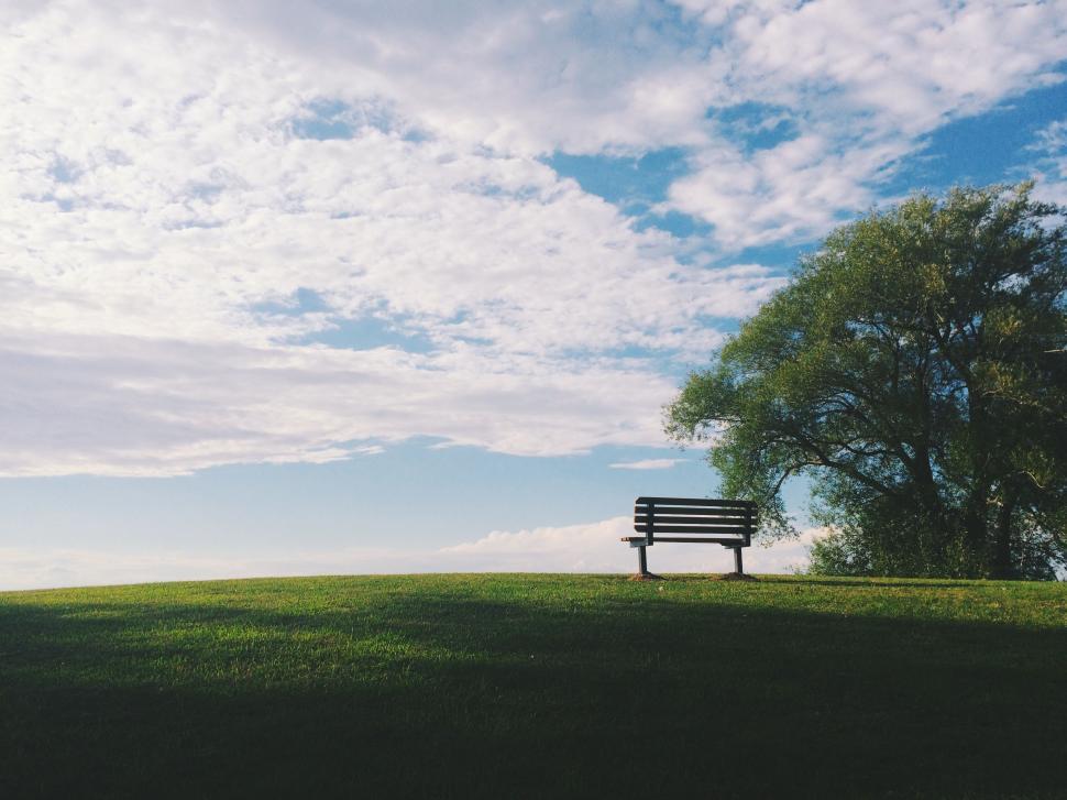 Free Image of Bench Overlooking Lush Green Field 
