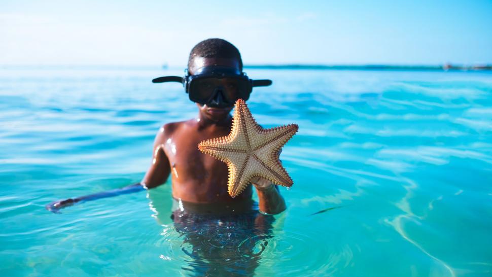 Free Image of Man Holding Starfish in Water 