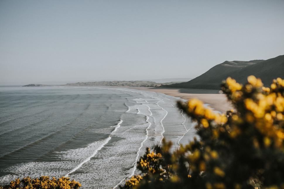 Free Image of Overlooking the Ocean From a Hill 