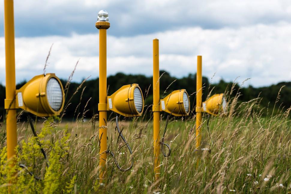 Free Image of Row of Yellow Traffic Lights in Lush Green Field 
