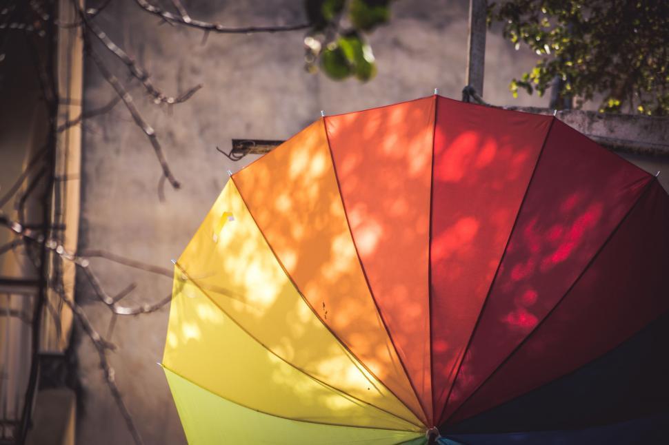 Free Image of Colorful Umbrella Next to Tree 