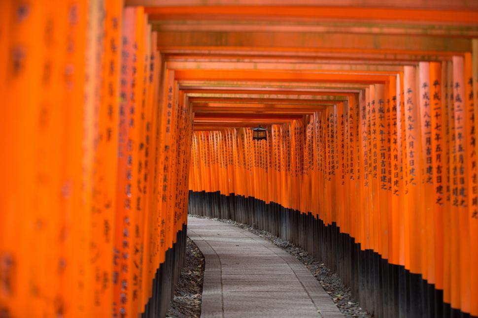 Free Image of Rows of Orange Tori Gates 
