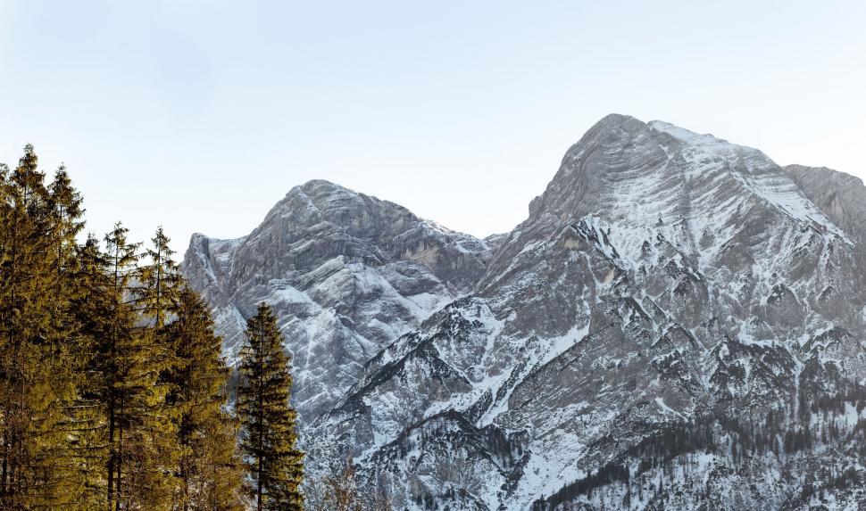 Free Image of Snow-Covered Mountain Range With Trees 