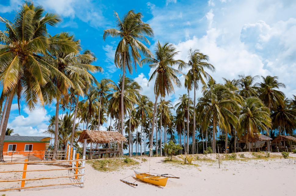 Free Image of Beach With Palm Trees and Hut 