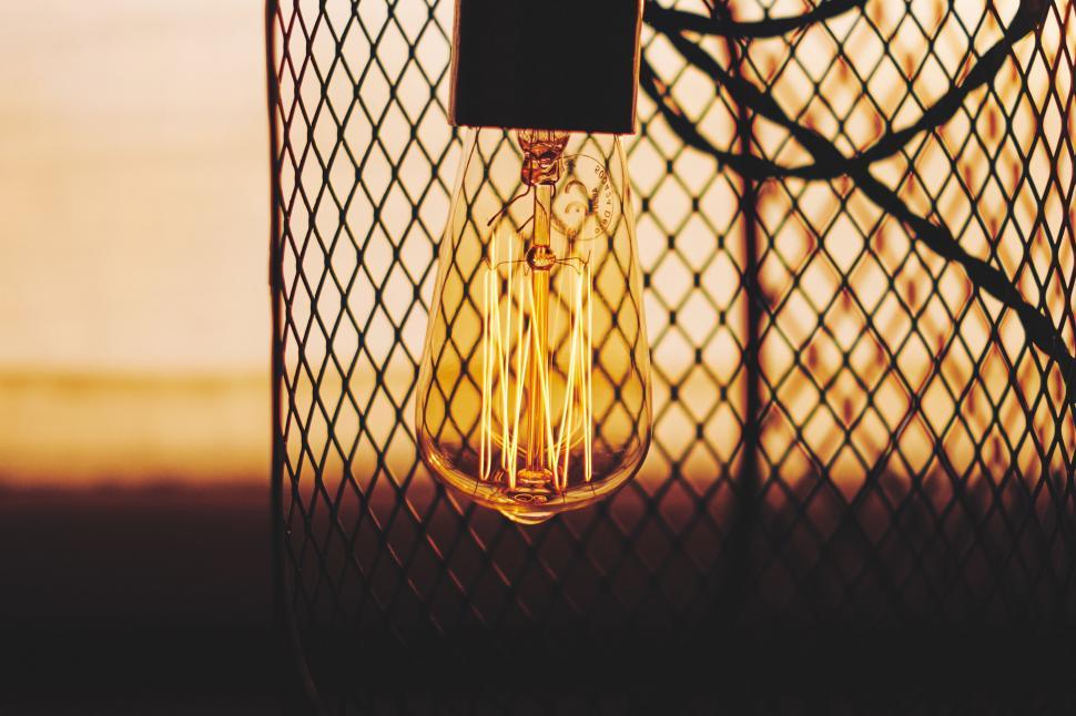 Free Image of Light Bulb Encased in a Cage 