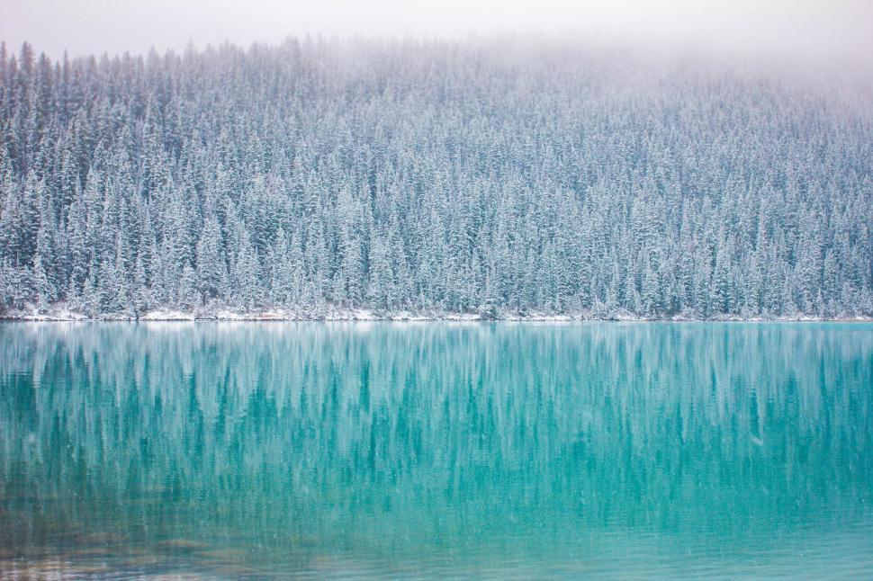 Free Image of Snow Covered Trees Surrounding a Large Body of Water 