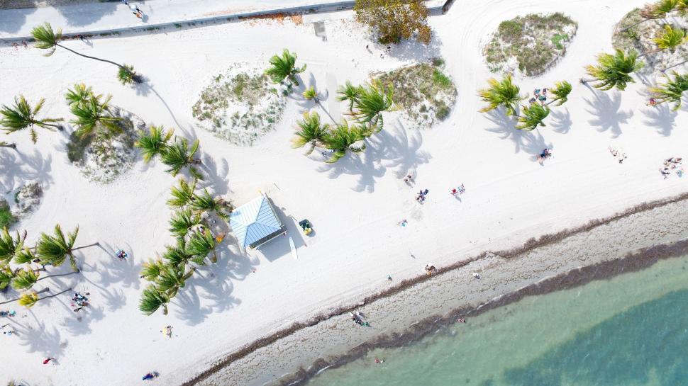 Free Image of Aerial View of Beach House 
