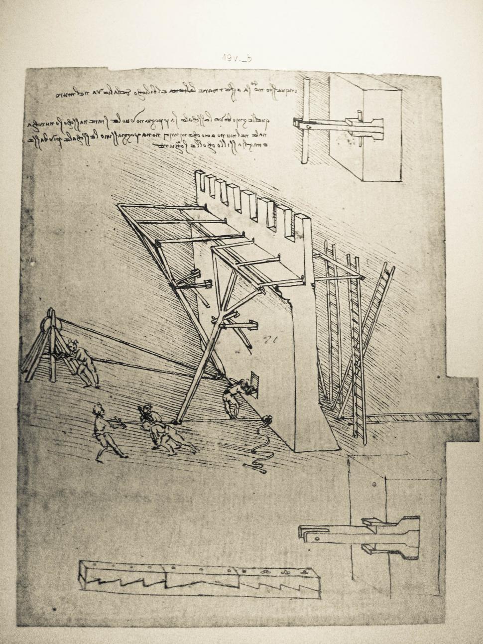 Free Image of Leonardo da Vinci drawing 