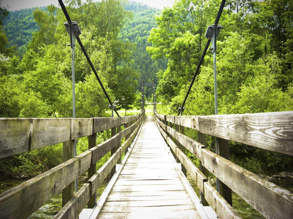 Free Image of wooden hanging bridge 