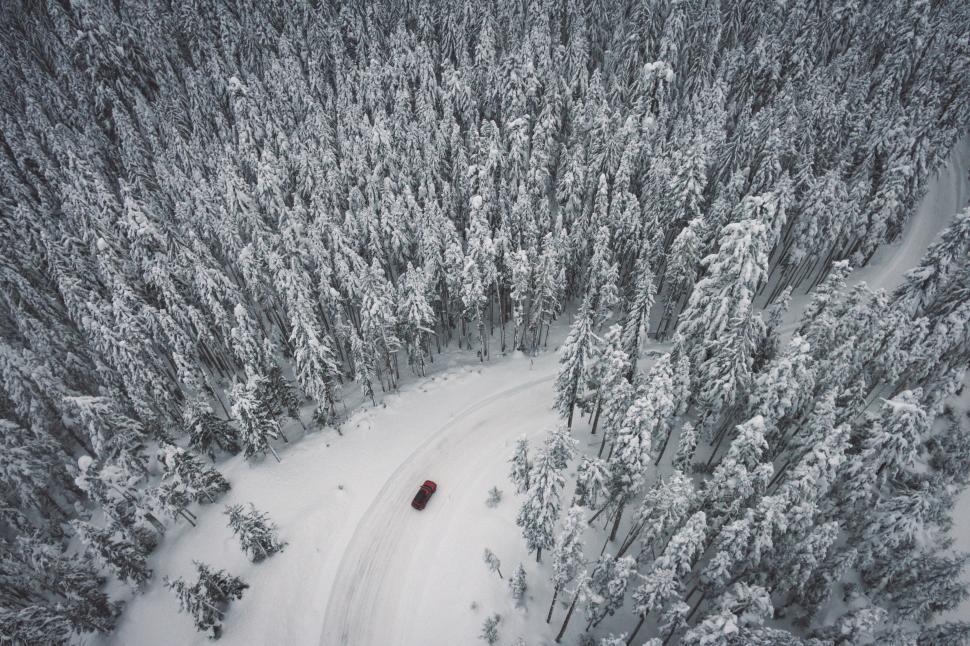Free Image of Aerial View of Snow Covered Forest 