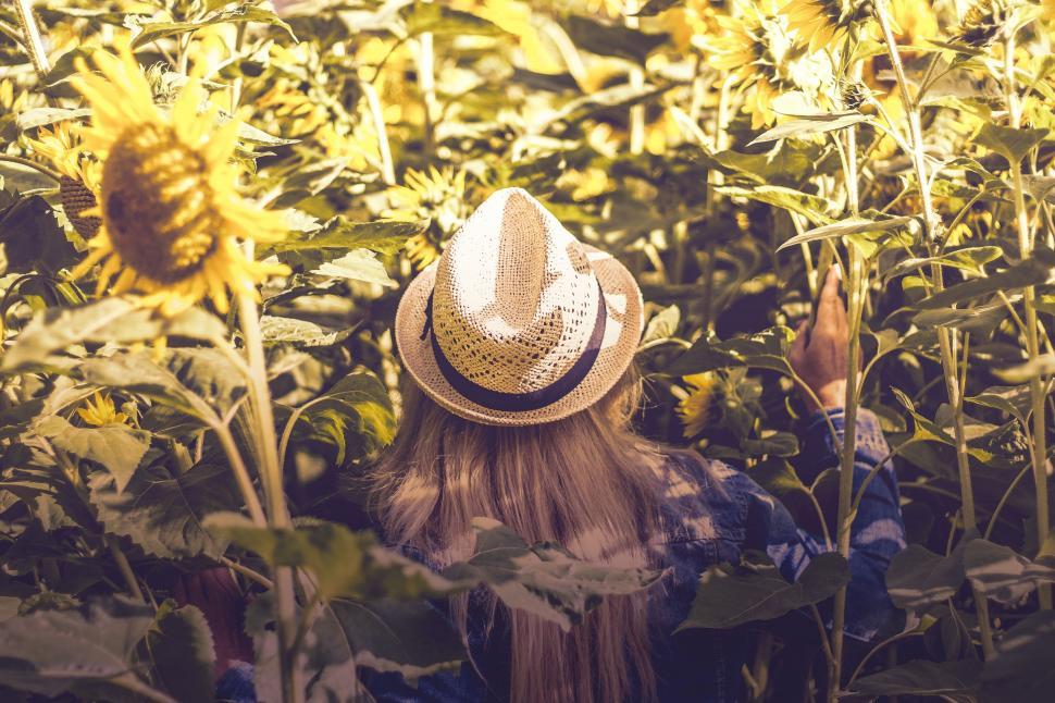 Free Image of Woman Standing in Sunflower Field 