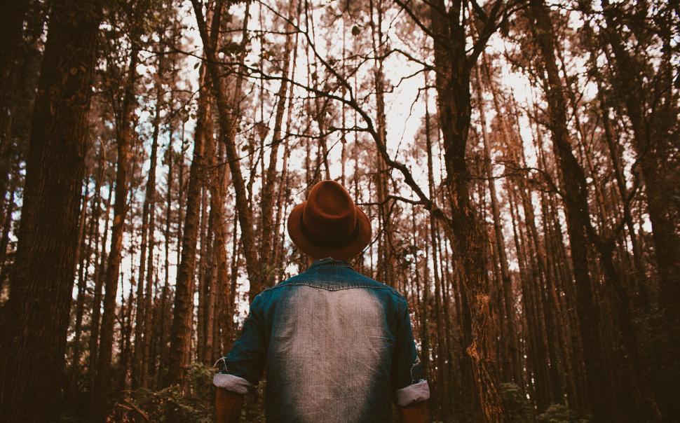 Free Image of Person Standing in the Middle of a Forest 